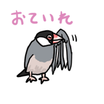 Java sparrow Chappy sticker #151467