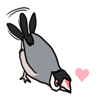 Java sparrow Chappy sticker #151471