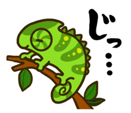 Chameleon is a colorful sticker #152225