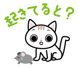 We can use Kyuusyuu dialect immediately. sticker #152288