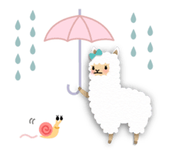 Alpaca girls sticker #155368