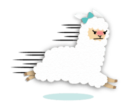 Alpaca girls sticker #155370