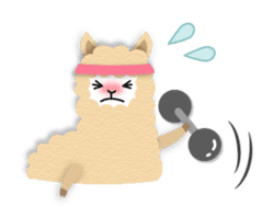 Alpaca girls sticker #155385