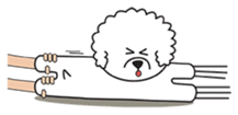 Chong chong: the cheeky chubby dog sticker #155749