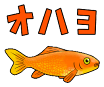Goldfish! sticker #156279