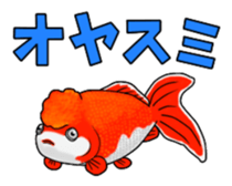 Goldfish! sticker #156282