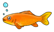 Goldfish! sticker #156285