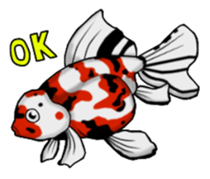 Goldfish! sticker #156296