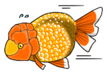 Goldfish! sticker #156303