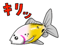 Goldfish! sticker #156304