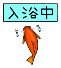 Goldfish! sticker #156308