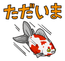 Goldfish! sticker #156310