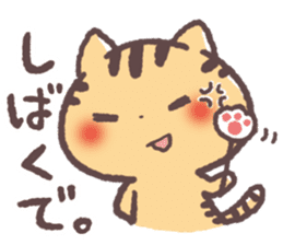 Cute Cats Japanese Kansai Words Stickers sticker #157411