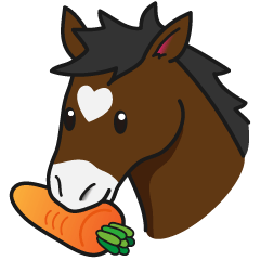 No choice I like I like horse