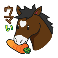 No choice I like I like horse sticker #159820