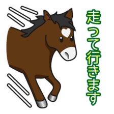 No choice I like I like horse sticker #159821