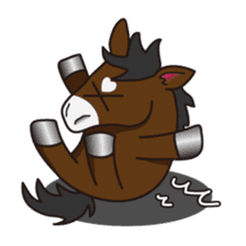 No choice I like I like horse sticker #159825