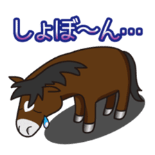 No choice I like I like horse sticker #159830