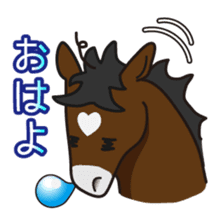 No choice I like I like horse sticker #159831