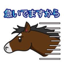 No choice I like I like horse sticker #159832