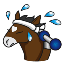 No choice I like I like horse sticker #159836