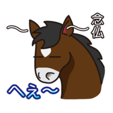 No choice I like I like horse sticker #159843