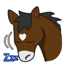 No choice I like I like horse sticker #159846