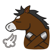 No choice I like I like horse sticker #159848