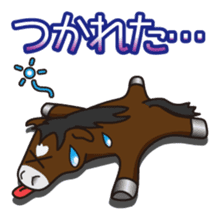 No choice I like I like horse sticker #159852