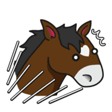 No choice I like I like horse sticker #159853