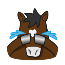 No choice I like I like horse sticker #159855