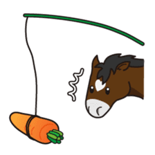 No choice I like I like horse sticker #159858