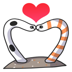 Splendid/spotted-Garden Eel/Razorfish