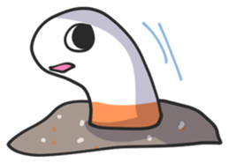 Splendid/spotted-Garden Eel/Razorfish sticker #161231