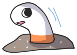 Splendid/spotted-Garden Eel/Razorfish sticker #161231