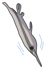 Splendid/spotted-Garden Eel/Razorfish sticker #161244