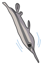 Splendid/spotted-Garden Eel/Razorfish sticker #161244