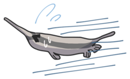 Splendid/spotted-Garden Eel/Razorfish sticker #161249