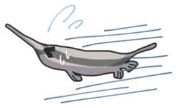 Splendid/spotted-Garden Eel/Razorfish sticker #161249