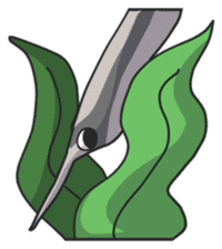 Splendid/spotted-Garden Eel/Razorfish sticker #161250