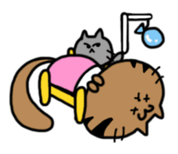 cat + cat sticker #161290