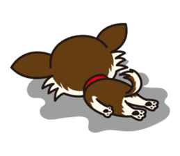 Dog Stamp vol.2 Chihuahua (LongCoat) sticker #164676
