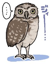 Happy days together with MARU sticker #165255