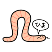 The bald earthworm sticker #167234