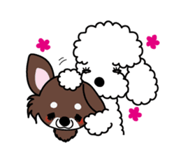 UG U+x+U DOGS (Chihuahua and Poodle) sticker #167674