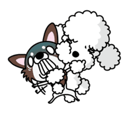 UG U+x+U DOGS (Chihuahua and Poodle) sticker #167684