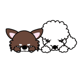 UG U+x+U DOGS (Chihuahua and Poodle) sticker #167689