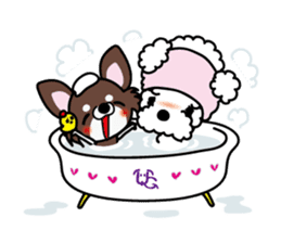UG U+x+U DOGS (Chihuahua and Poodle) sticker #167695