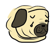 Pugsaku sticker #167904