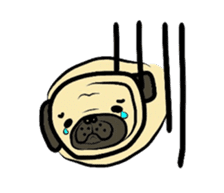 Pugsaku sticker #167908